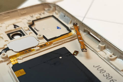 pulsante-disassemblato.jpg